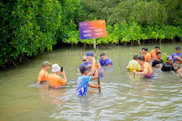 HARRIS Hotels Jakarta-Bekasi Tanam Mangrove di Muara Gembong