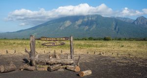 Mengungkap Keajaiban ‘Afrika Van Java’: Petualangan Seru di Taman Nasional Baluran, Surga Alam di Jawa Timur Taman Nasional Baluran di Situbondo, Jawa Timur - sumber foto BATIQA Hotels