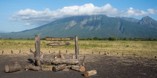 Taman Nasional Baluran di Situbondo, Jawa Timur - sumber foto BATIQA Hotels