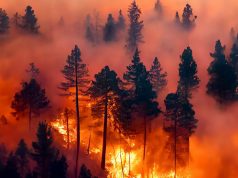 Kebakaran Hutan Menghancurkan Los Angeles: Ribuan Dievakuasi, Rumah-rumah Selebriti Hangus Terbakar kebakaran Los Angeles, California - sumber foto Instagram