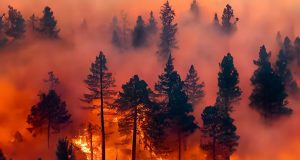 Kebakaran Hutan Menghancurkan Los Angeles: Ribuan Dievakuasi, Rumah-rumah Selebriti Hangus Terbakar kebakaran Los Angeles, California - sumber foto Instagram