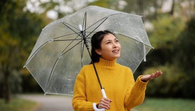 Kenapa Kita Bisa Cium Aroma Hujan Sebelum Turun? ini Penjelasan Ilmiahnya