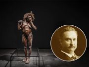 30.000 Artefak Pulang Kampung: Belanda Kembalikan Koleksi Bersejarah ke Indonesia artefak Koleksi Dubois di Belanda dikembalikan ke Indonesia - sumber foto naturalis