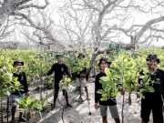 Kemenpar Dorong Transisi Hijau Lewat Kajian “Tourism Snapshot” Terbaru Kemenpar Dorong Transisi Hijau Lewat Kajian “Tourism Snapshot” Terbaru