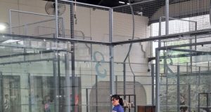 Inilah 5 Kiat Main Padel untuk Pemula Wanita Agar Aman dan Anti Cedera Inilah 5 Kiat Main Padel untuk Pemula Wanita Agar Aman dan Anti Cedera