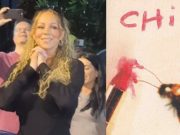 Mariah Carey dan Rahasia Gelap Album Alternative Rock Someone’s Ugly Daughter Mariah Carey Someone’s Ugly Daughter Chick album - sumber foto istimewa