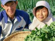 Kreativitas di Ladang, Sepasang Petani Jepang Ciptakan Lobak Berbentuk Kaki “Daikon Legs” Kreativitas di Ladang, Sepasang Petani Jepang Ciptakan Lobak Berbentuk Kaki “Daikon Legs”