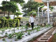 Punya Kebun Sendiri : Inilah Langkah Novotel Tangerang Jadi Hotel Ramah Lingkungan Punya Kebun Sendiri : Inilah Langkah Novotel Tangerang Jadi Hotel Ramah Lingkungan