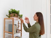 Liburan di Rumah Aja? Berikut Hal Seru Yang Bisa di Lakukan! ilustrasi liburan di rumah aja