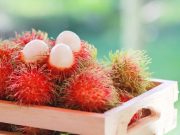 Batuk Setelah Makan Rambutan? Simak Penyebab dan Cara Mencegahnya! Rambutan, foto freepik