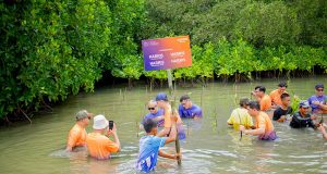 HARRIS Hotels Jakarta-Bekasi Tanam Mangrove di Muara Gembong: Kontribusi Nyata untuk Lingkungan HARRIS Hotels Jakarta-Bekasi Tanam Mangrove di Muara Gembong