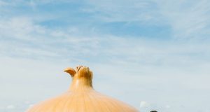 Awaji Island - sumber foto Instagram @visitjapansg