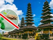 Bali Tanpa Air Kemasan Plastik! Kebijakan Baru untuk Masa Depan Lebih Hijau Ilustrasi Bali Tanpa Air Kemasan Plastik