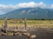 Mengungkap Keajaiban ‘Afrika Van Java’: Petualangan Seru di Taman Nasional Baluran, Surga Alam di Jawa Timur Taman Nasional Baluran di Situbondo, Jawa Timur - sumber foto BATIQA Hotels