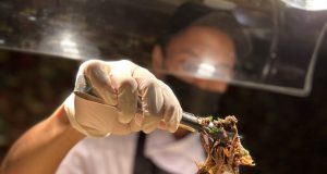 Pesona Ramadan : Eksplorasi Kuliner Timur Tengah di Novotel Tangerang Pesona Ramadan : Eksplorasi Kuliner Timur Tengah di Novotel Tangerang