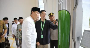 Microforest, Inovasi Hijau UGM untuk Menyelamatkan Bumi dari Karbon Microforest UGM pohon cair mikroalga inovasi hijau Indonesia - sumber foto UGM