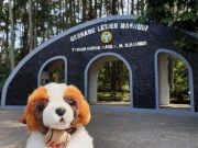 Staycation di Pelukan Alam, Nikmati Paket Stay & Forest di Swiss-Belresort Dago Heritage Paket Stay & Forest di Swiss-Belresort Dago Heritage - sumber foto Istimewa