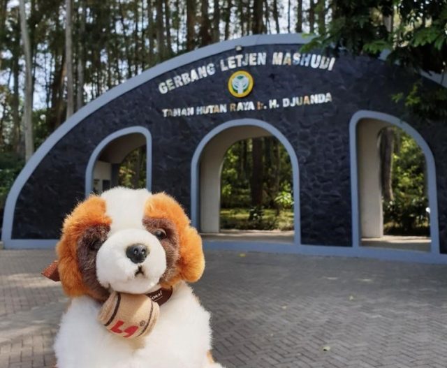 Paket Stay & Forest di Swiss-Belresort Dago Heritage - sumber foto Istimewa