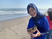 Ini Aksi Manis 1O1 STYLE Yogyakarta Malioboro untuk Selamatkan Tukik di Hari Bumi The 1O1 Yogyakarta Tugu dan komunitas lingkungan Aksi Konservasid Yogyakarta pelepasan tukik di Pantai Pelangi - sumber foto istimewa