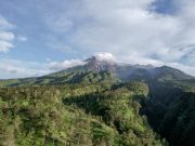 Avoskin Trail Run 2025: Merayakan Kesehatan dan Cinta Bumi dalam Setiap Langkah Avoskin Trail Run 2025 Teras Merapi, Yogyakarta - sumber foto istimewa