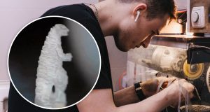 patung Godzilla dari nasi oleh Rish Art sumber foto Istimewa materi Instagram @rish_art
