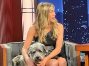 Jennifer Aniston Ungkap Fobia Ekstrem terhadap Terbang dan Cara Cerdas Mengatasinya Jennifer Aniston Ungkap Fobia Ekstrem terhadap Terbang dan Cara Cerdas Mengatasinya