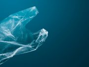 Plastik Ramah Lingkungan dari Jepang: Larut di Laut dalam Hitungan Jam, Menyuburkan Tanah! Plastik Ramah Lingkungan dari Jepang: Larut di Laut dalam Hitungan Jam, Menyuburkan Tanah!