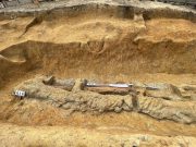 Penemuan Pedang Raksasa dan Cermin Perisai di Jepang Buka Misteri Zaman Kuno Pedang Raksasa terbuat dari besi ditemukan di jepang - sumber foto wikimedia.org