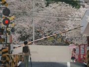 Live Action 5cm per Second Resmi Rilis Trailer, Suguhkan Nostalgia dan Visual yang Menyentuh Hati Live Action 5cm per Second Resmi Rilis Trailer, Suguhkan Nostalgia dan Visual yang Menyentuh Hati