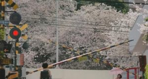 Live Action 5cm per Second Resmi Rilis Trailer, Suguhkan Nostalgia dan Visual yang Menyentuh Hati Live Action 5cm per Second Resmi Rilis Trailer, Suguhkan Nostalgia dan Visual yang Menyentuh Hati