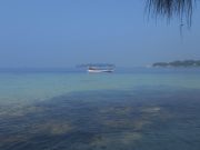Island Hopping Seru di Pulau Harapan: Surga Tropis yang Wajib Kamu Kunjungi! Island Hopping Seru di Pulau Harapan: Surga Tropis yang Wajib Kamu Kunjungi!