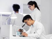 Peneliti Ungkap Jamur Kuno ‘Aspergillus flavus’ Yang Tumbuh di Makam Tutankhamun Punya Potensi Obati Leukimia Peneliti Ungkap Jamur Kuno 'Aspergillus flavus' Yang Tumbuh di Makam Tutankhamun Punya Potensi Obati Leukimia