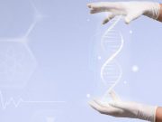 Oxford dan Cambridge Pimpin Proyek 5 Tahun Ciptakan DNA Manusia Sintesis Inggris Mulai Langkah Berani untuk “Menciptakan” DNA Manusia: Harapan Besar di Balik Proyek Genetik Oxford dan Cambridge