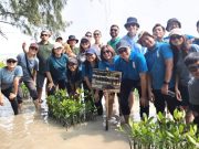 Rayakan Hari Mangrove Sedunia, Ascott Indonesia Tanam 1.000 Mangrove di Pulau Tidung Kecil Rayakan Hari Mangrove Sedunia, Ascott Indonesia Tanam 1.000 Mangrove di Pulau Tidung Kecil