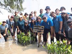 Rayakan Hari Mangrove Sedunia, Ascott Indonesia Tanam 1.000 Mangrove di Pulau Tidung Kecil Rayakan Hari Mangrove Sedunia, Ascott Indonesia Tanam 1.000 Mangrove di Pulau Tidung Kecil