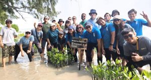 Rayakan Hari Mangrove Sedunia, Ascott Indonesia Tanam 1.000 Mangrove di Pulau Tidung Kecil Rayakan Hari Mangrove Sedunia, Ascott Indonesia Tanam 1.000 Mangrove di Pulau Tidung Kecil