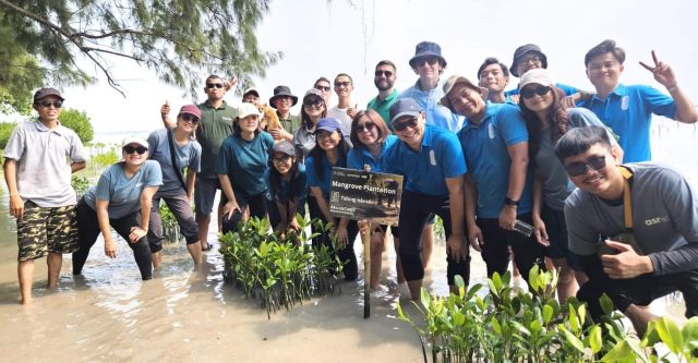 Rayakan Hari Mangrove Sedunia, Ascott Indonesia Tanam 1.000 Mangrove di Pulau Tidung Kecil