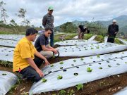 PERURI Terapkan Teknologi Smart Farming dan Internet of Things (IoT) untuk Dongkrak Produktivitas Petani di Garut PERURI Terapkan Teknologi Smart Farming dan Internet of Things (IoT) untuk Dongkrak Produktivitas Petani di Garut