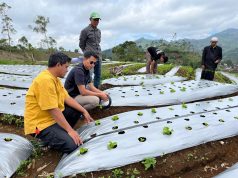 PERURI Terapkan Teknologi Smart Farming dan Internet of Things (IoT) untuk Dongkrak Produktivitas Petani di Garut PERURI Terapkan Teknologi Smart Farming dan Internet of Things (IoT) untuk Dongkrak Produktivitas Petani di Garut