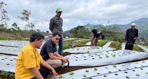 PERURI Terapkan Teknologi Smart Farming dan Internet of Things (IoT) untuk Dongkrak Produktivitas Petani di Garut PERURI Terapkan Teknologi Smart Farming dan Internet of Things (IoT) untuk Dongkrak Produktivitas Petani di Garut