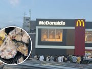 Geger! Happy Meal Pokémon McDonald’s Jepang Tuai Kritik, Anak-Anak Pulang Tanpa Mainan McDonald's Jepang Happy Meal Pokémon - sumber foto X/ Twitter