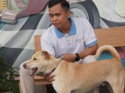 Citadines Berawa Beach Bali Tunjukkan Kepedulian Lewat Program Vaksin Rabies Gratis Citadines Berawa Beach Bali Tunjukkan Kepedulian Lewat Program Vaksin Rabies Gratis