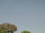 Eksplorasi Budaya Lewat Pakualaman Heritage Walk Bersama 1O1 Style Yogyakarta Eksplorasi Budaya Lewat Pakualaman Heritage Walk Bersama 1O1 Style Yogyakarta