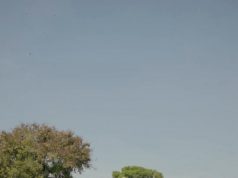 Eksplorasi Budaya Lewat Pakualaman Heritage Walk Bersama 1O1 Style Yogyakarta Eksplorasi Budaya Lewat Pakualaman Heritage Walk Bersama 1O1 Style Yogyakarta