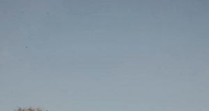 Eksplorasi Budaya Lewat Pakualaman Heritage Walk Bersama 1O1 Style Yogyakarta