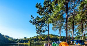 Berkemah 3 Hari Bisa Tingkatkan Sel Pembunuh Kanker Hingga 80% Berkemah dapat menaikan sel pembunuh kanker - sumber foto Freepik