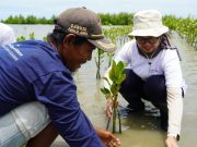 Menanam Harapan di Pesisir Karawang: PERURI Tanam 2.000 Pohon Mangrove Demi Masa Depan Bumi Menanam Harapan di Pesisir Karawang: PERURI Tanam 2.000 Pohon Mangrove Demi Masa Depan Bumi