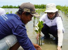 Menanam Harapan di Pesisir Karawang: PERURI Tanam 2.000 Pohon Mangrove Demi Masa Depan Bumi Menanam Harapan di Pesisir Karawang: PERURI Tanam 2.000 Pohon Mangrove Demi Masa Depan Bumi