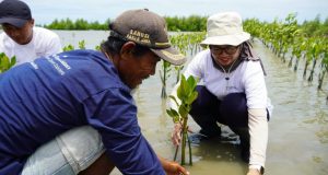 Menanam Harapan di Pesisir Karawang: PERURI Tanam 2.000 Pohon Mangrove Demi Masa Depan Bumi Menanam Harapan di Pesisir Karawang: PERURI Tanam 2.000 Pohon Mangrove Demi Masa Depan Bumi