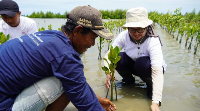 Menanam Harapan di Pesisir Karawang: PERURI Tanam 2.000 Pohon Mangrove Demi Masa Depan Bumi